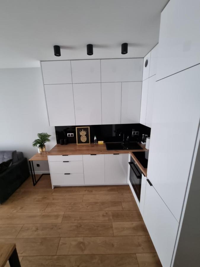 Apartament Ventus Business And Living 46 キェルツェ エクステリア 写真